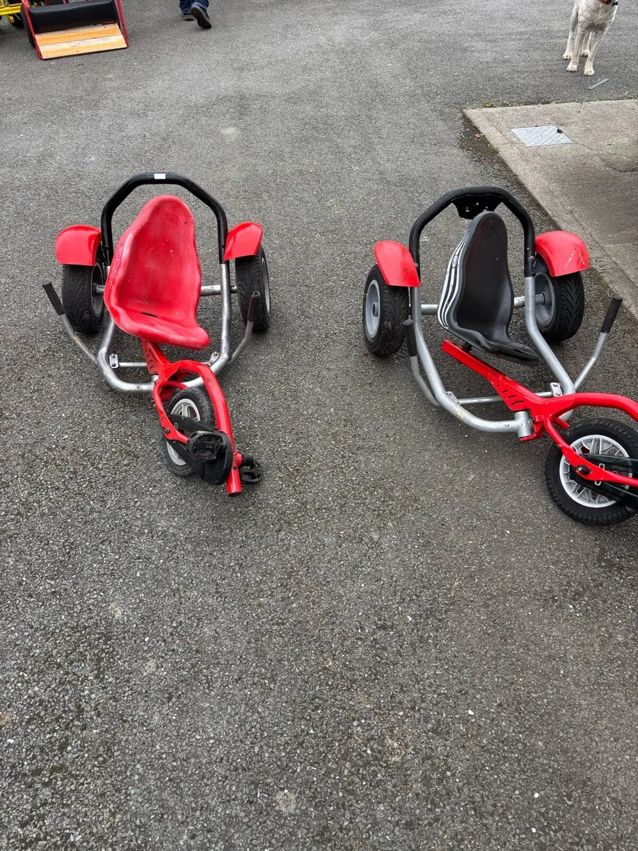 Berg Balanz Bike go cart - Image 1