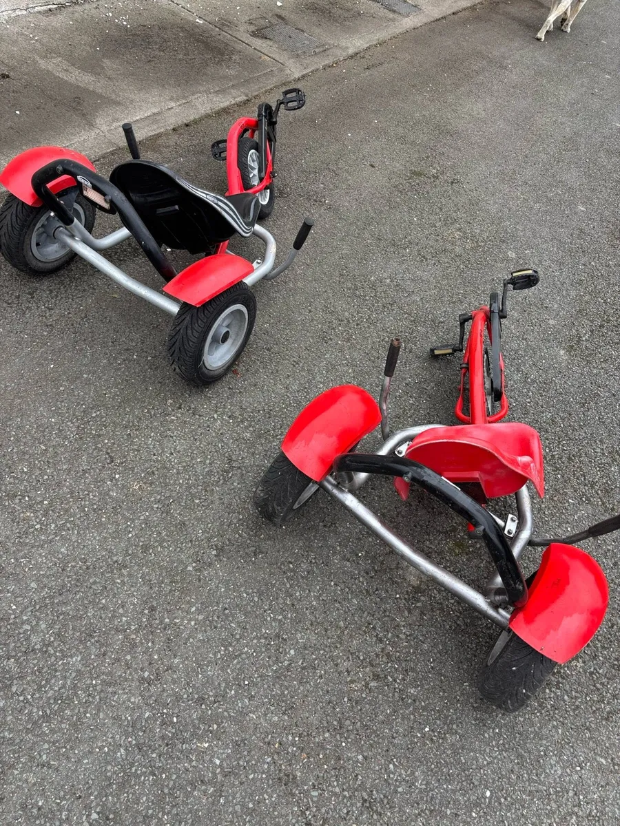 Berg Balanz Bike go cart - Image 3