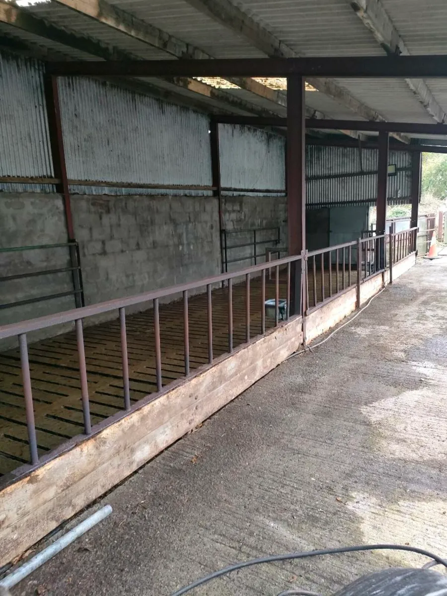 4 bay slatted shed with silage - Image 2