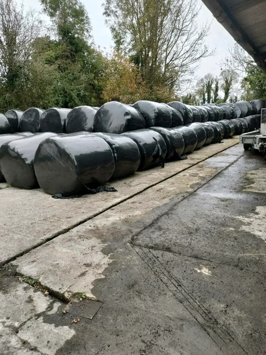 4 bay slatted shed with silage - Image 3