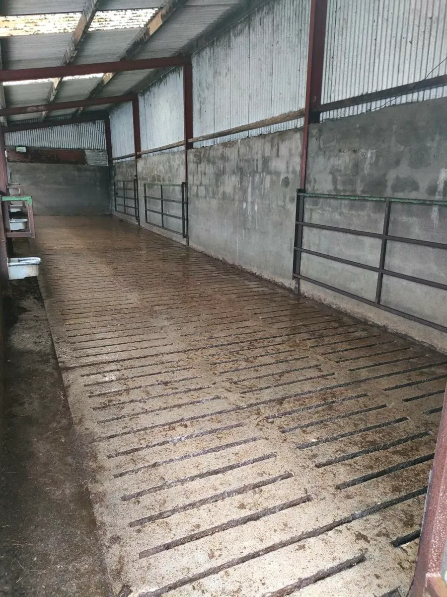 4 bay slatted shed with silage - Image 4