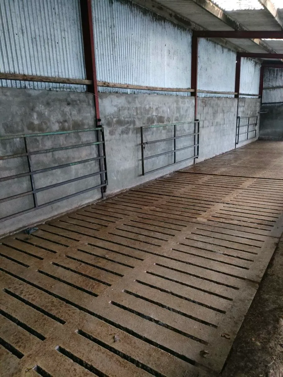 4 bay slatted shed with silage - Image 1