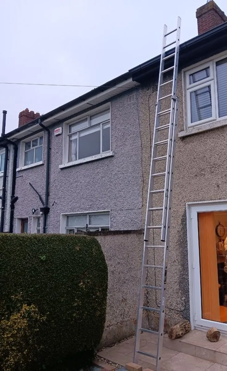 Ladder - Image 2