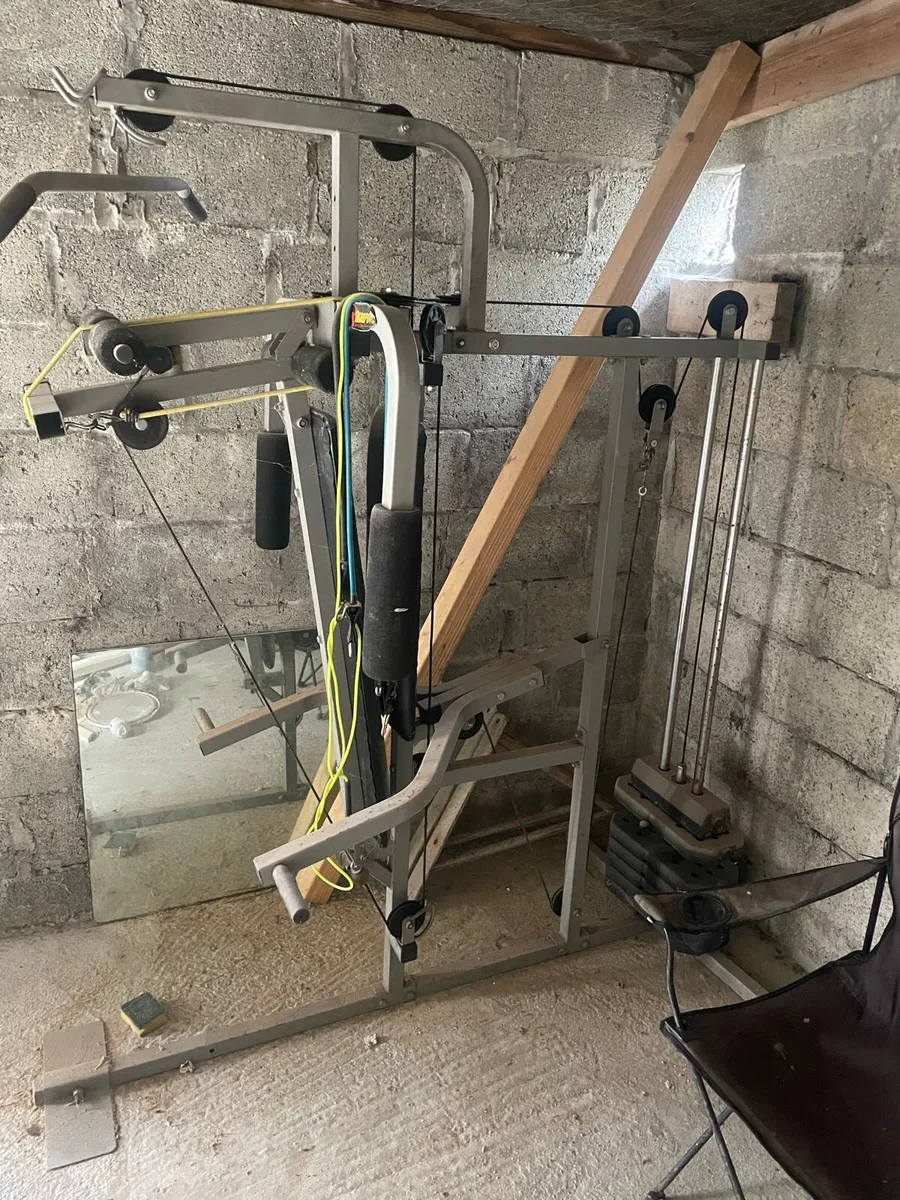 Pro power weight bench