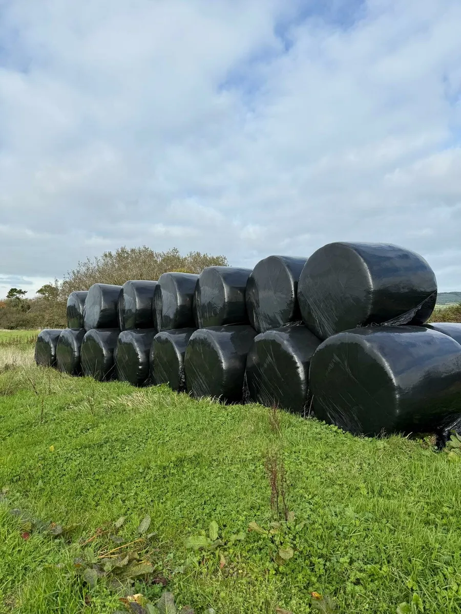 Silage - Image 1