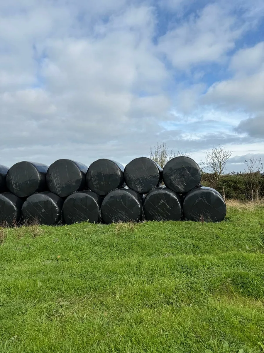 Silage - Image 2