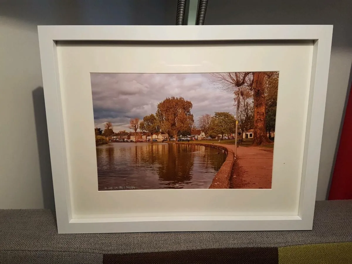 The Lough, Cork - Image 2