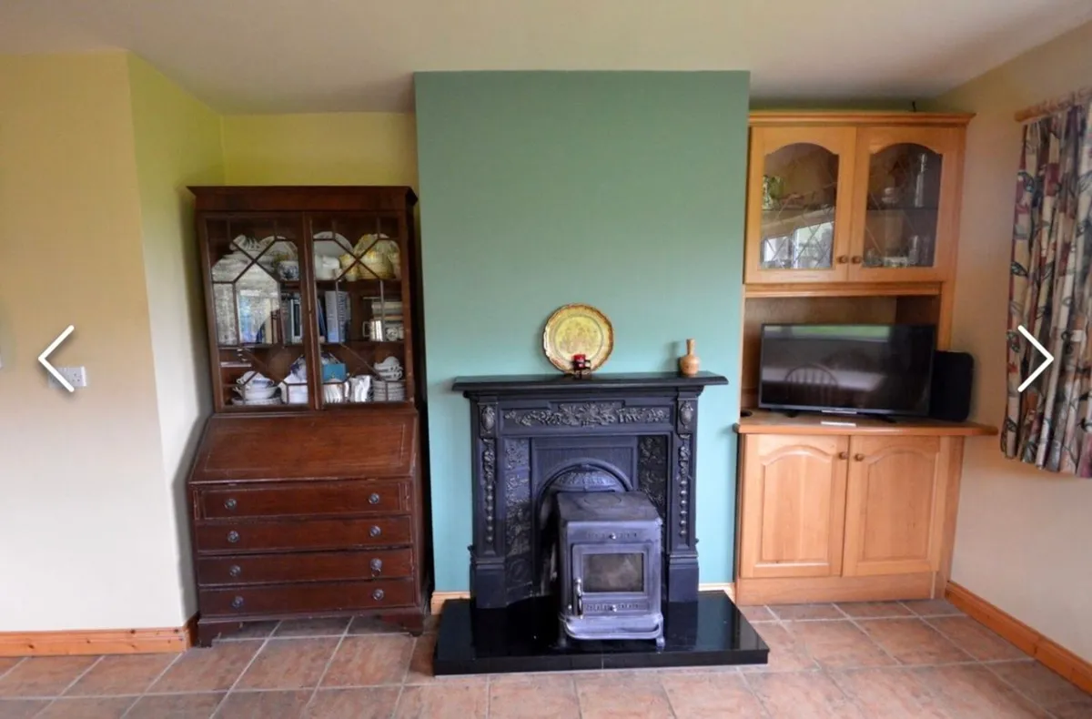 Cast iron fire place insert - Image 1