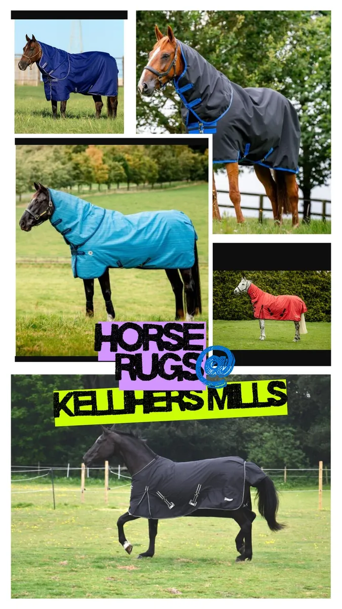 Large Selection of Horse Rugs – Foal to Full Horse - Image 1