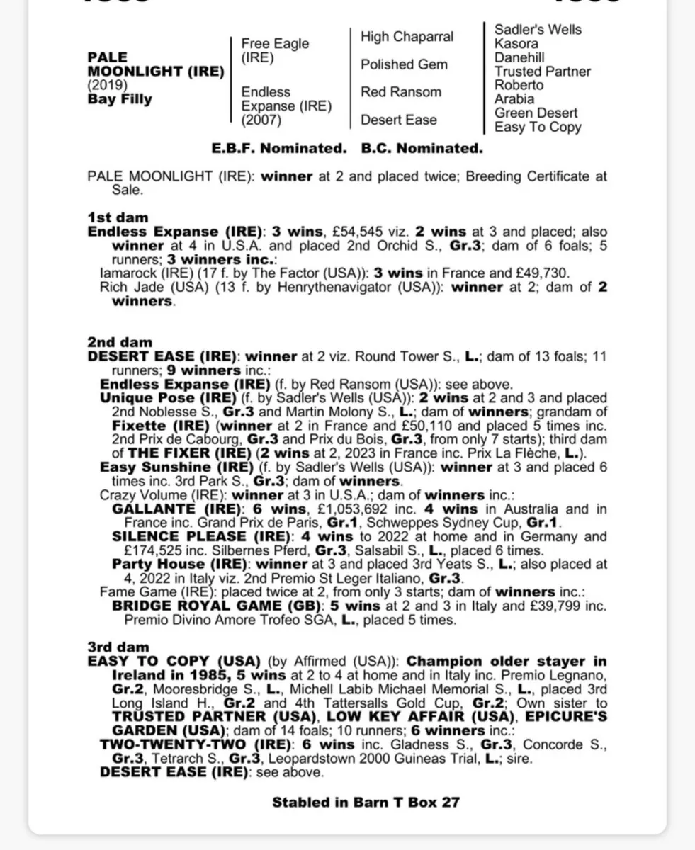 Winning 2yo Mare