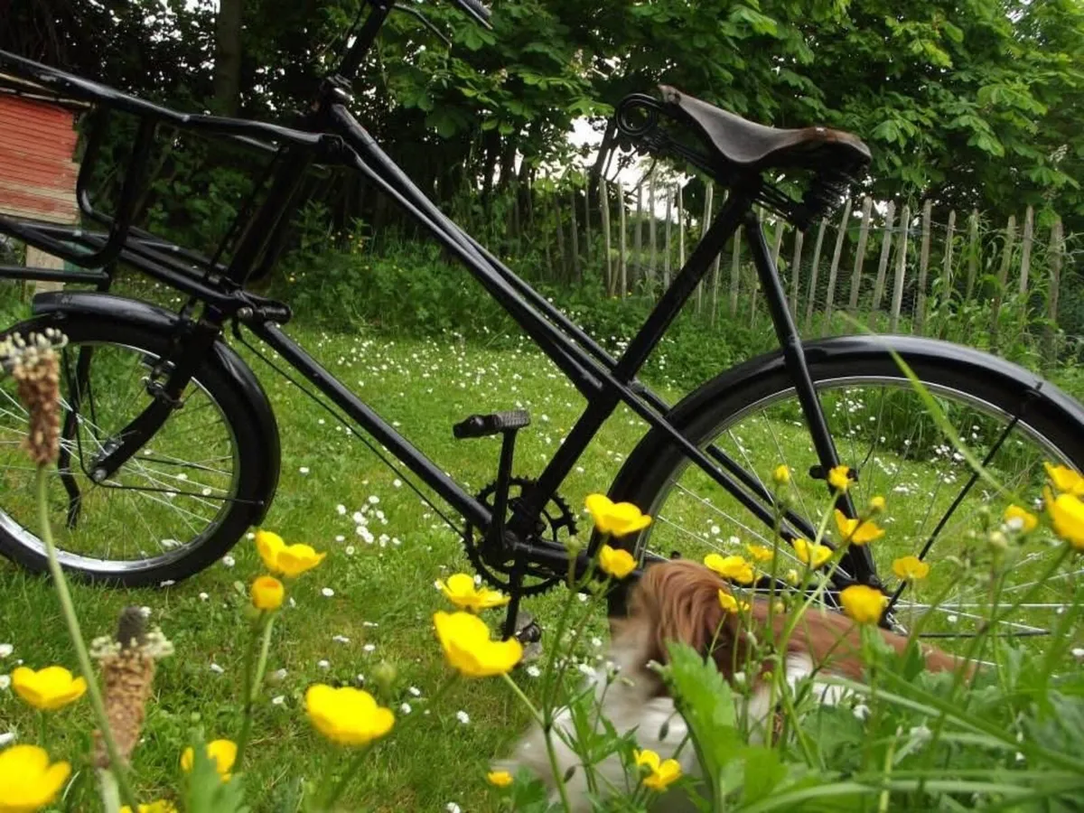 1920’s Gundle model T butchers / delivery bike - Image 3