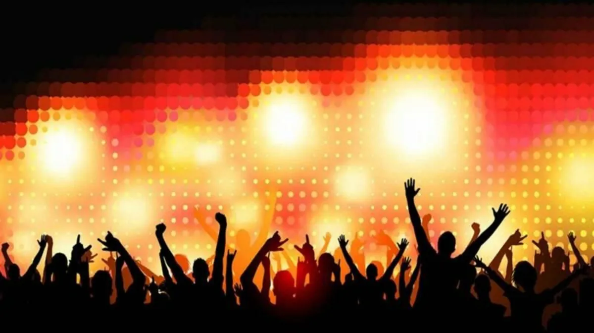 Party DJ / Karaoke - Image 3
