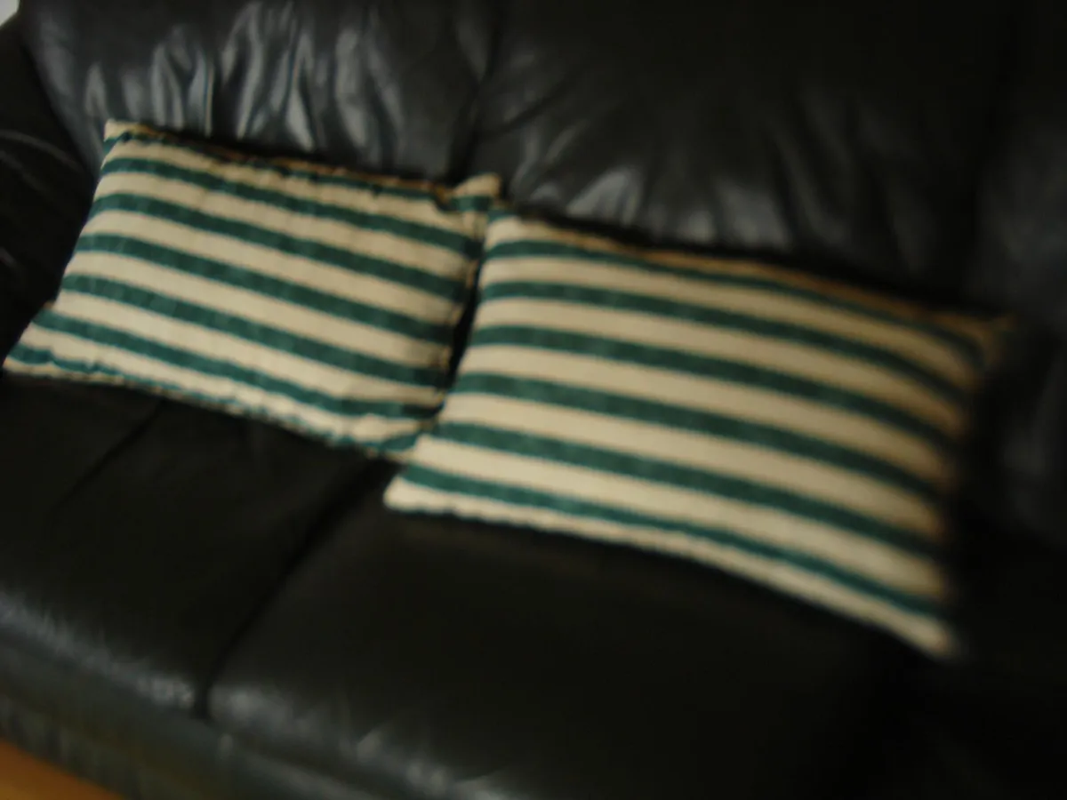 2 PILLOW SHAPE BOTTLE GREEN/OFF WHITE CUSHIONS. - Image 1