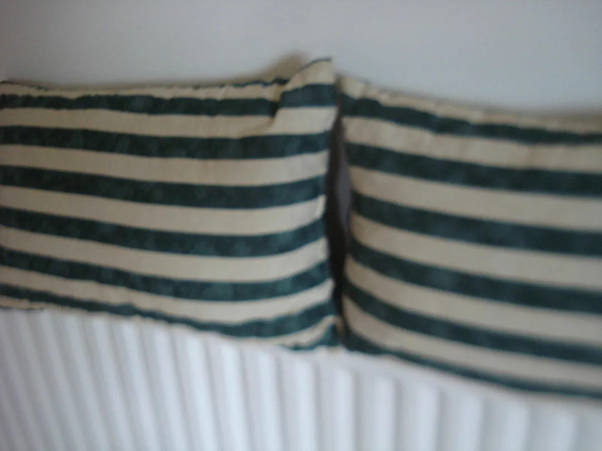 2 PILLOW SHAPE BOTTLE GREEN/OFF WHITE CUSHIONS. - Image 2