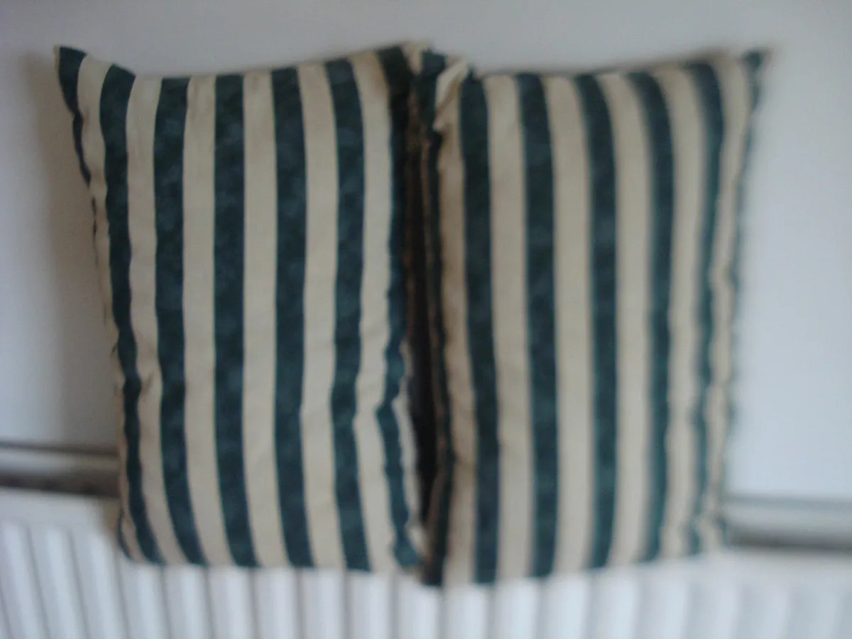 2 PILLOW SHAPE BOTTLE GREEN/OFF WHITE CUSHIONS. - Image 3