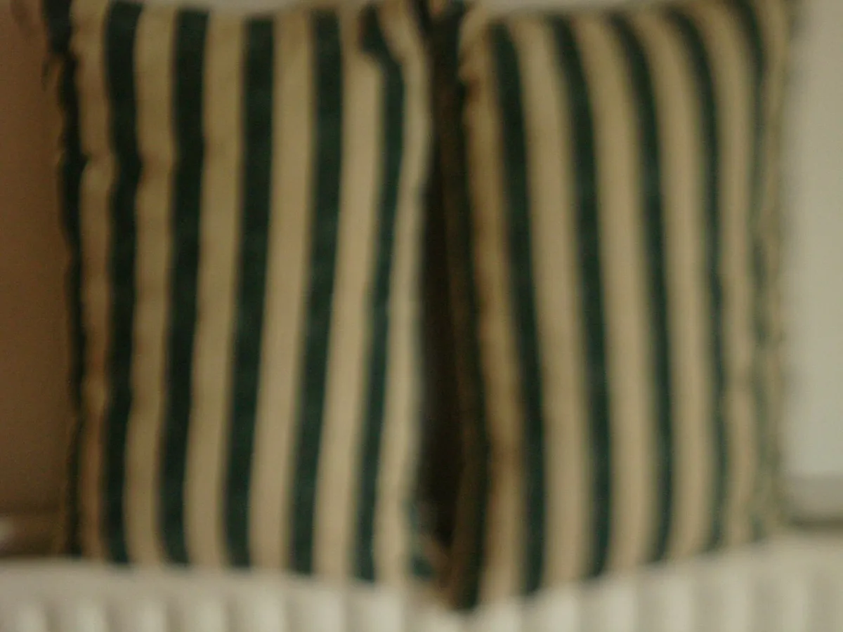 2 PILLOW SHAPE BOTTLE GREEN/OFF WHITE CUSHIONS. - Image 4