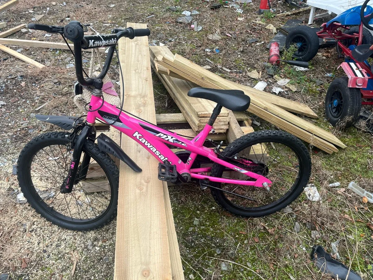 Bike - Image 1