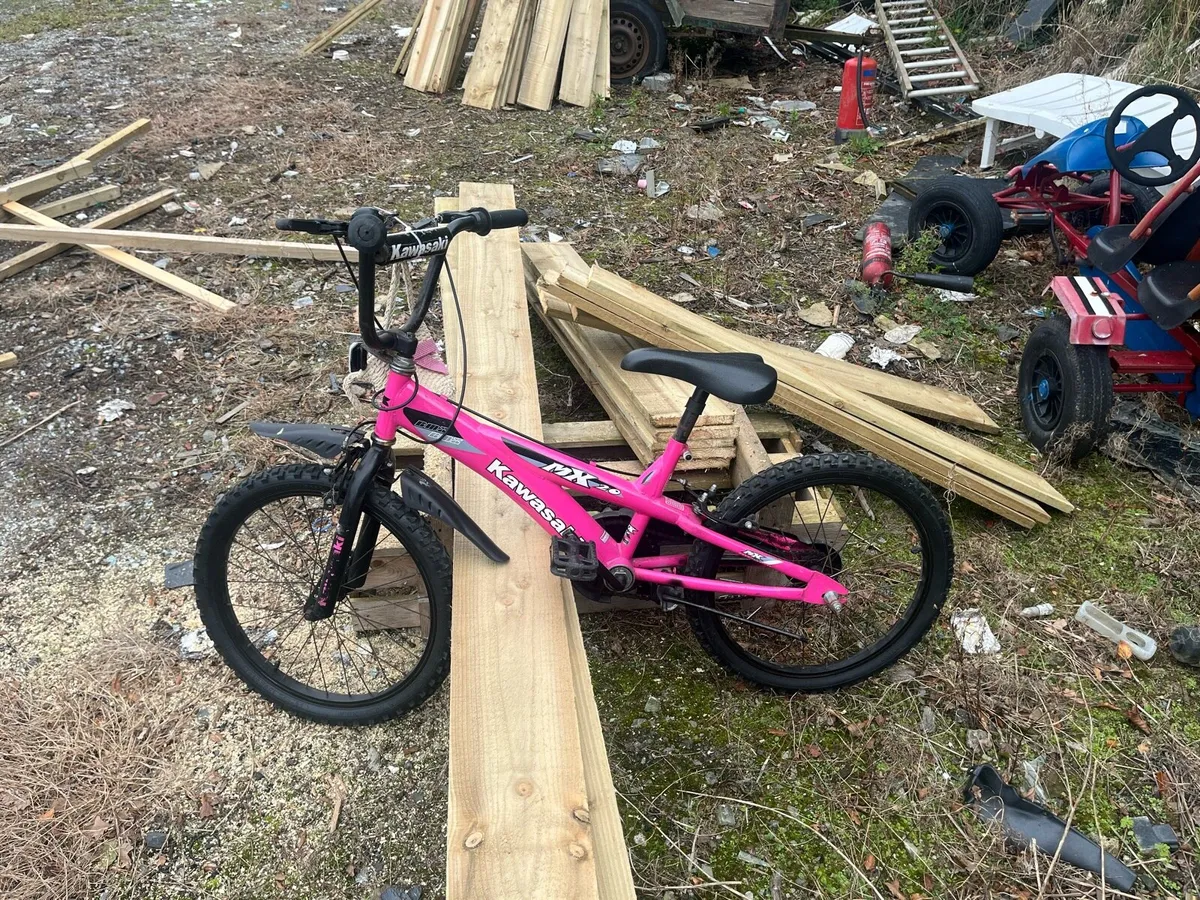Bike - Image 2