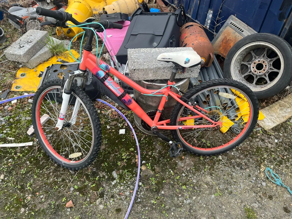 Bike - Image 2
