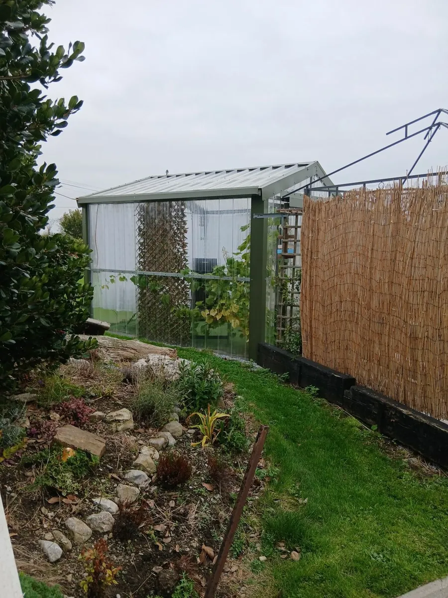 Greenhouse - Image 4