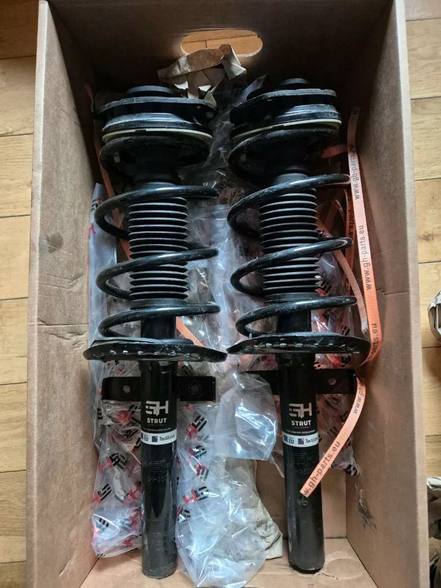 Renault Scenic Front struts - Image 1