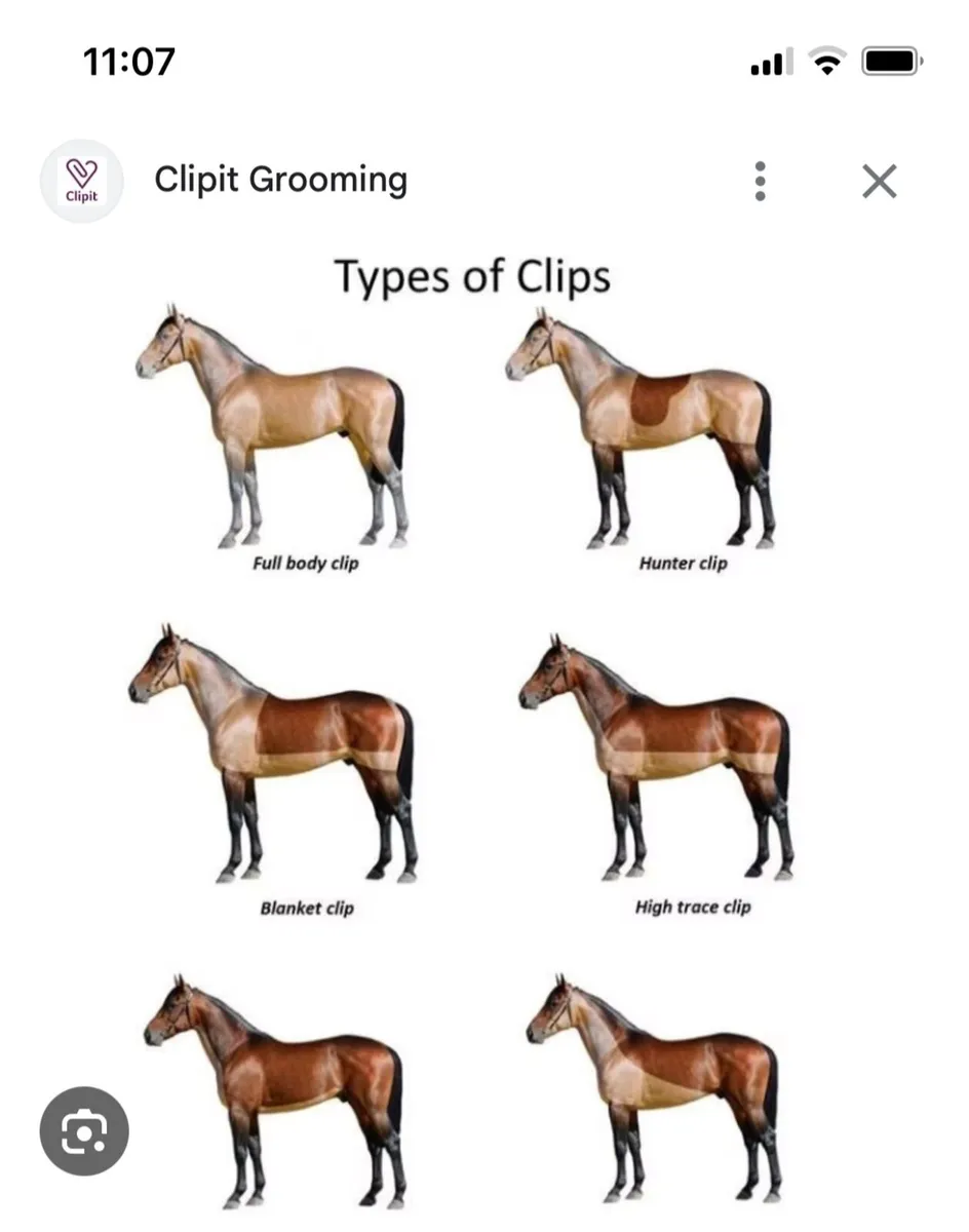 Clipping service