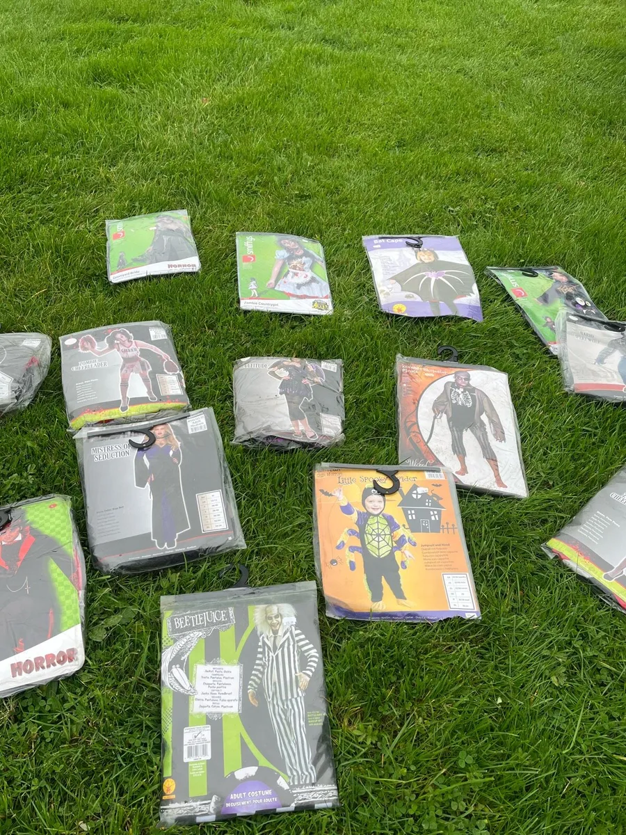 Halloween costumes (Bulk or Individual) - Image 1