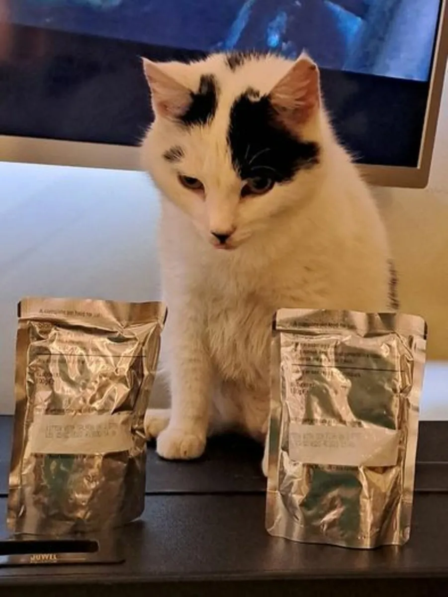 Box of 80 pouches of cat food - Image 2