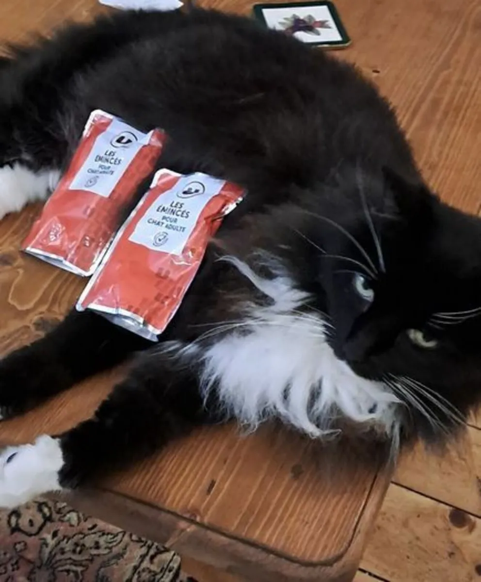 Box of 80 pouches of cat food - Image 3