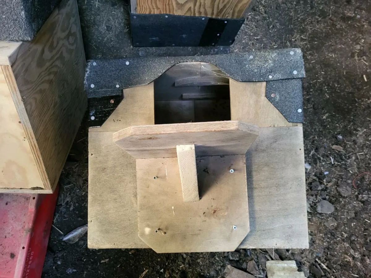 Owl boxes