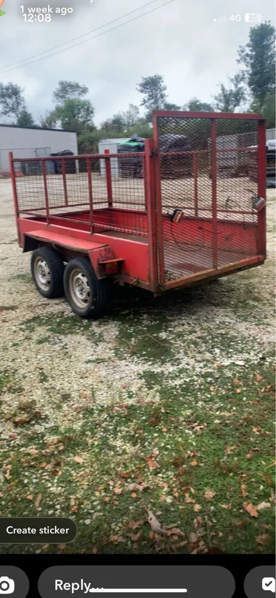 8x4 mesh trailer - Image 2