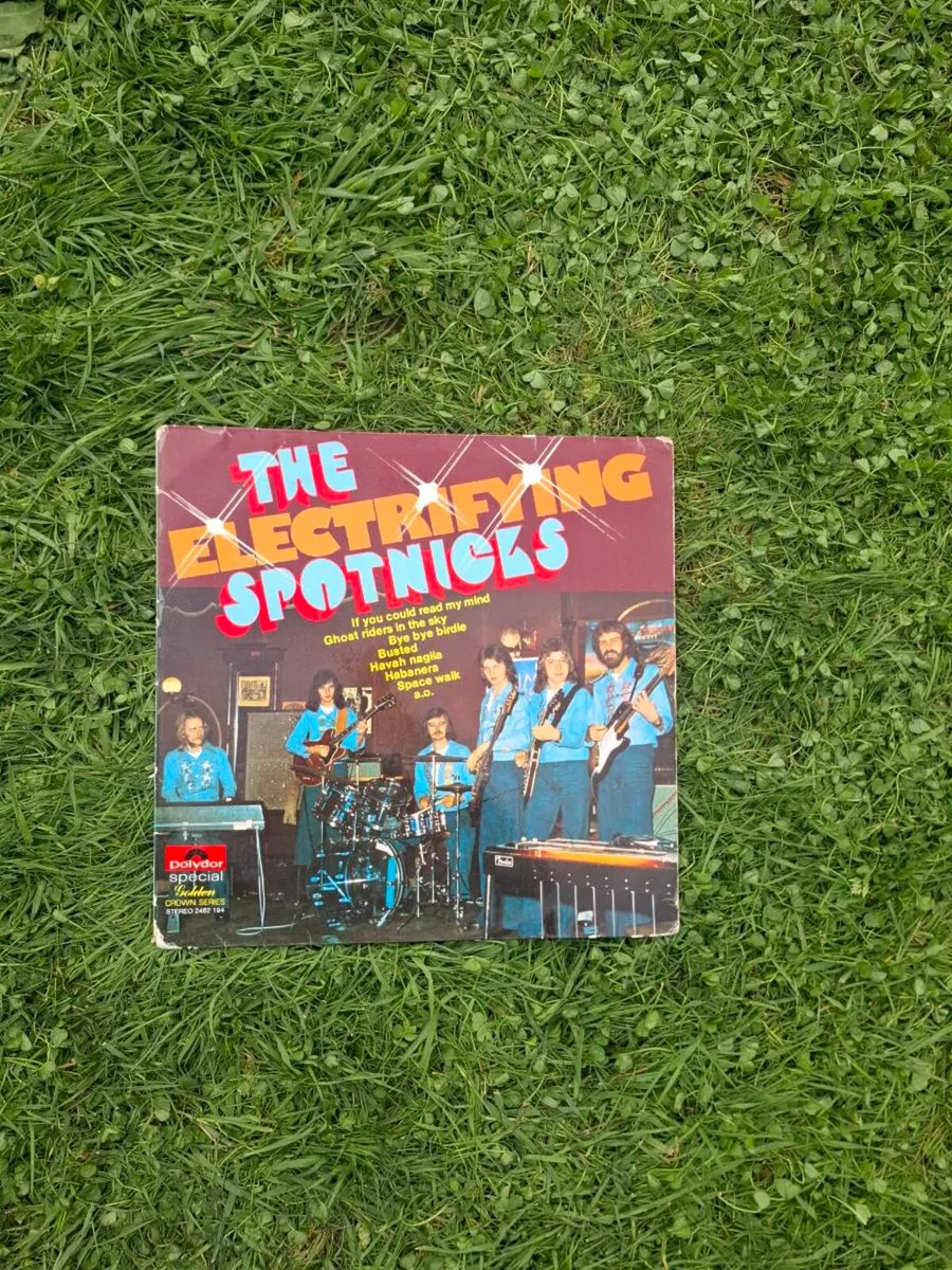 Vinyl the sponicks - Image 1