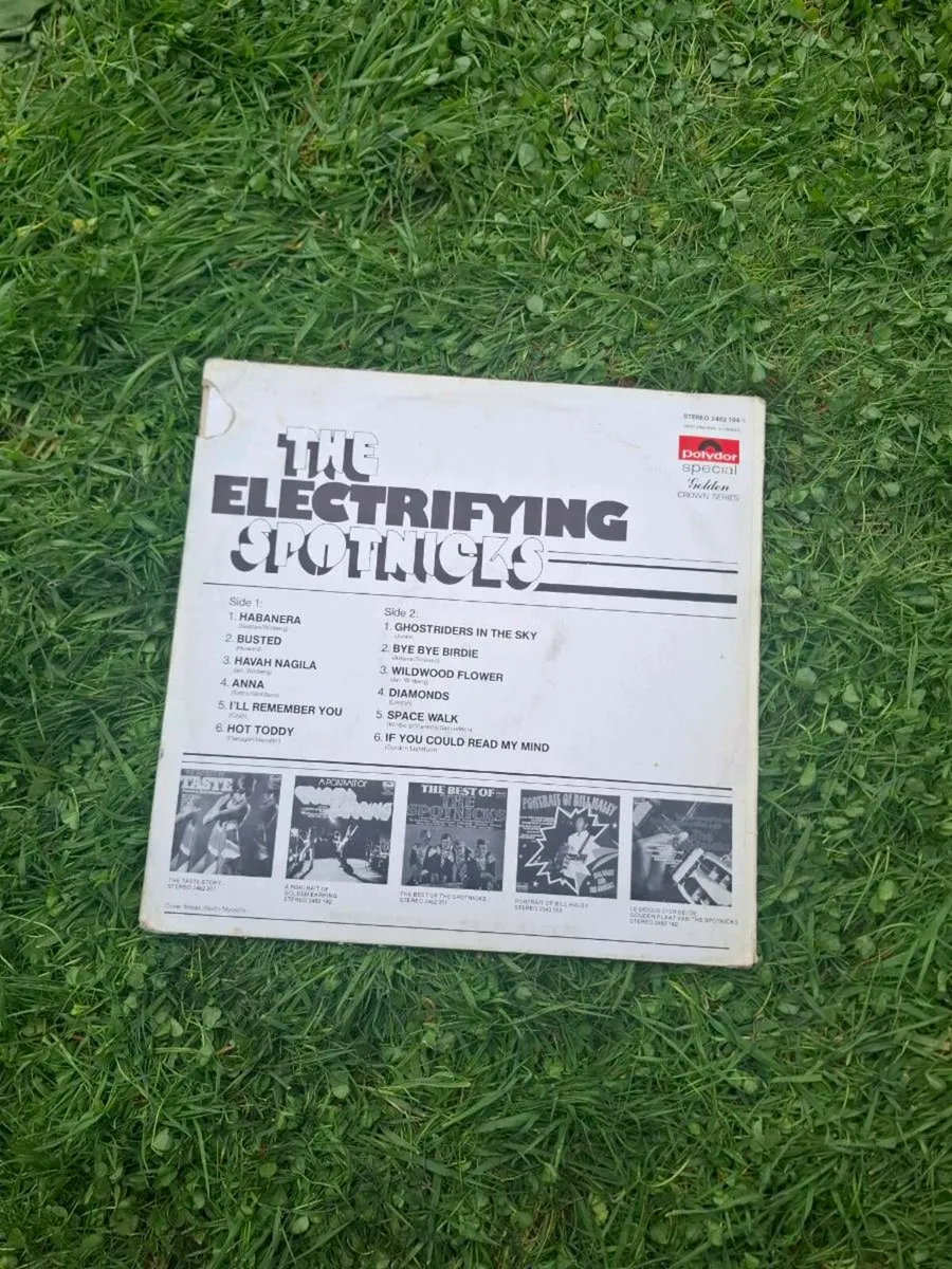 Vinyl the sponicks - Image 2