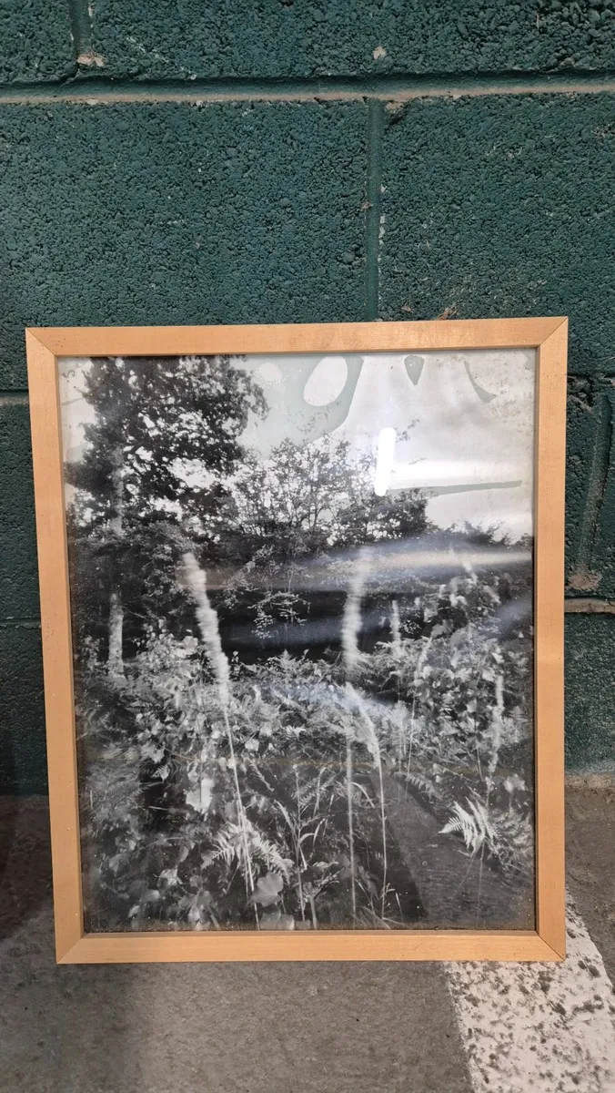 Framed prints - Image 2