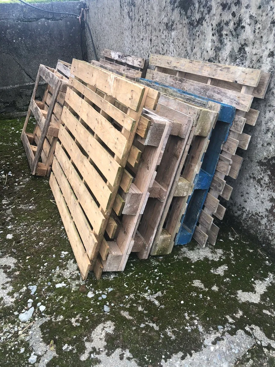 Pallets - Image 1