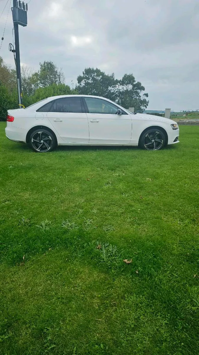 Audi A4 White Tested - Image 4