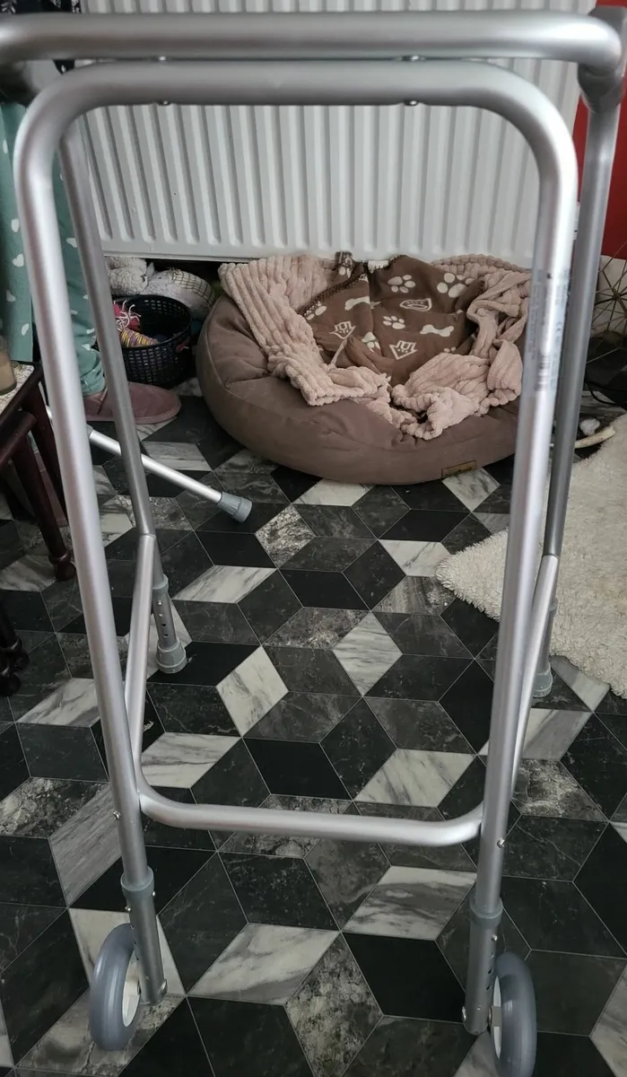 Mobility frame