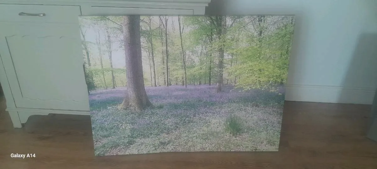 Large canvas