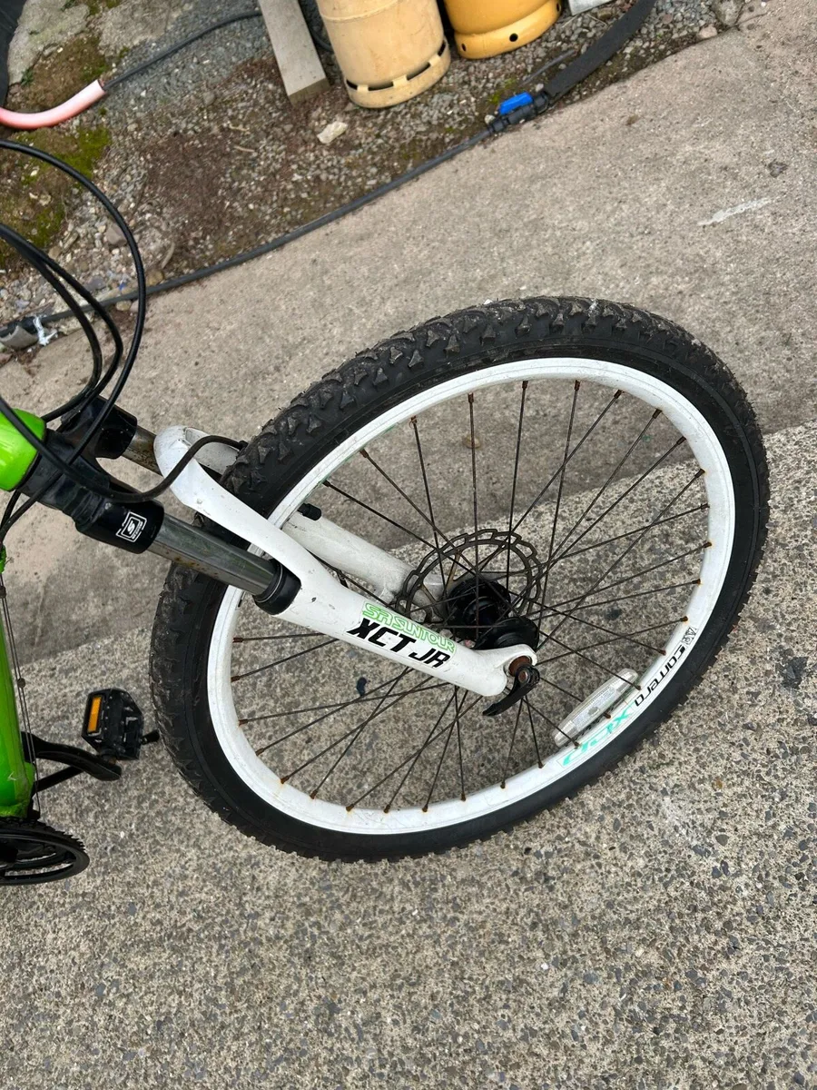 Carrera blast - Image 2