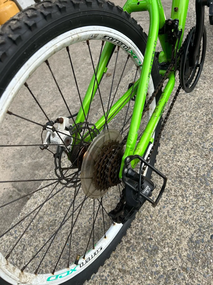 Carrera blast - Image 4