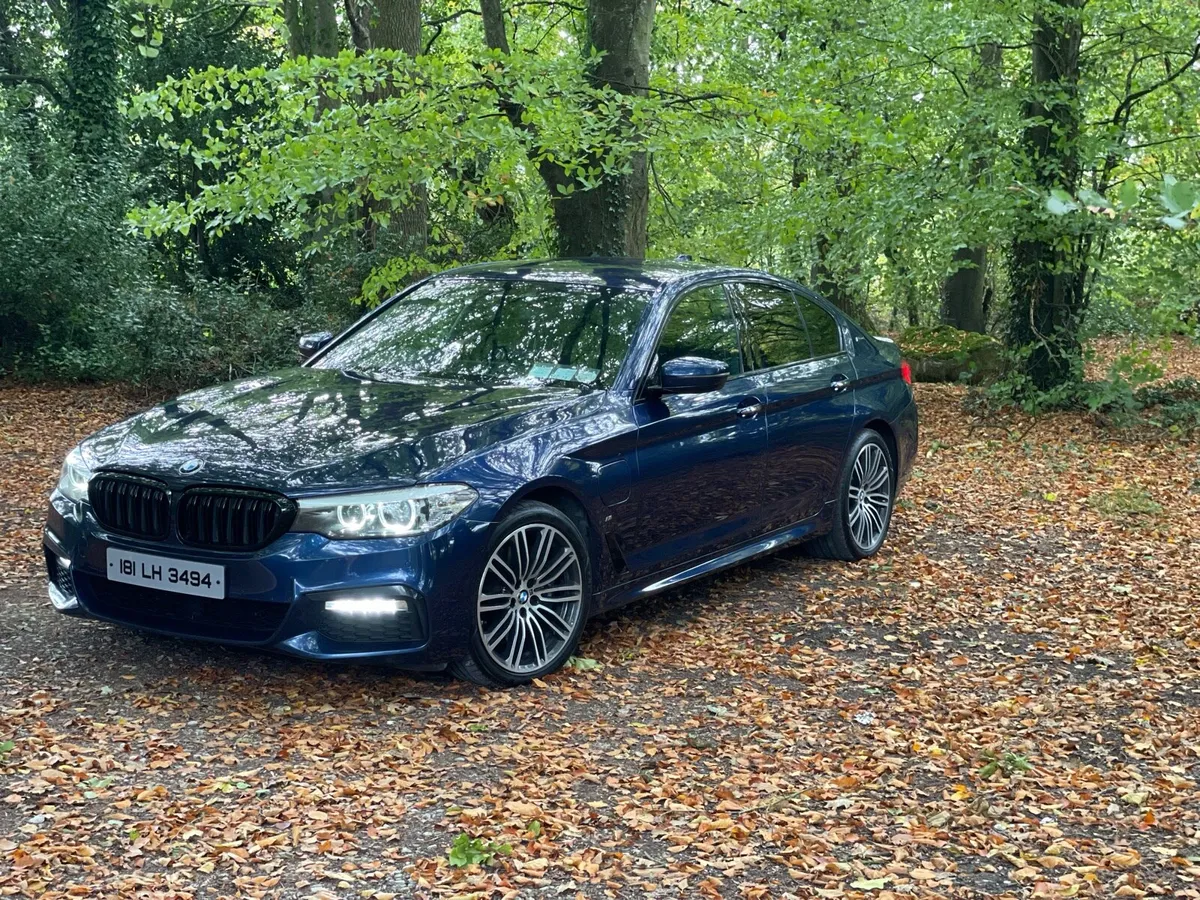 BMW 530 M-Performance - Image 1