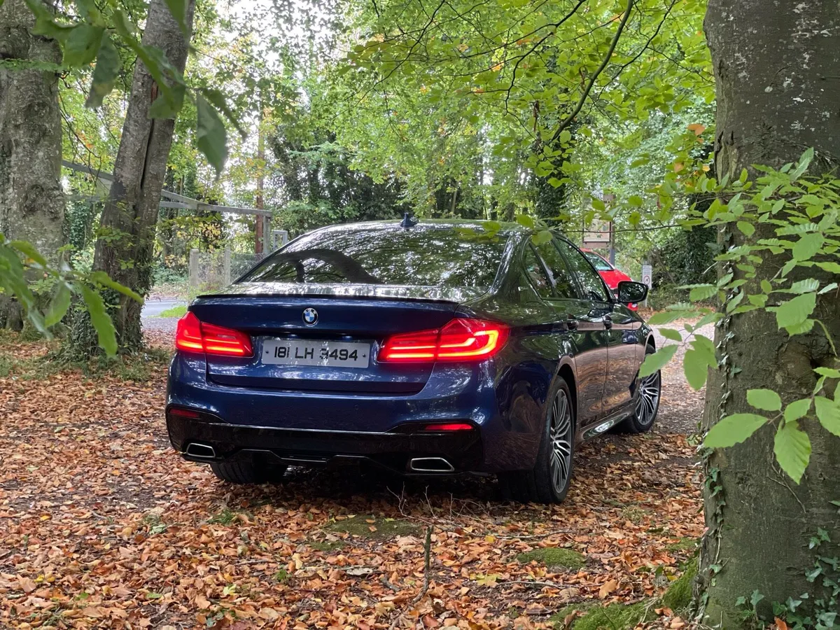BMW 530 M-Performance - Image 2