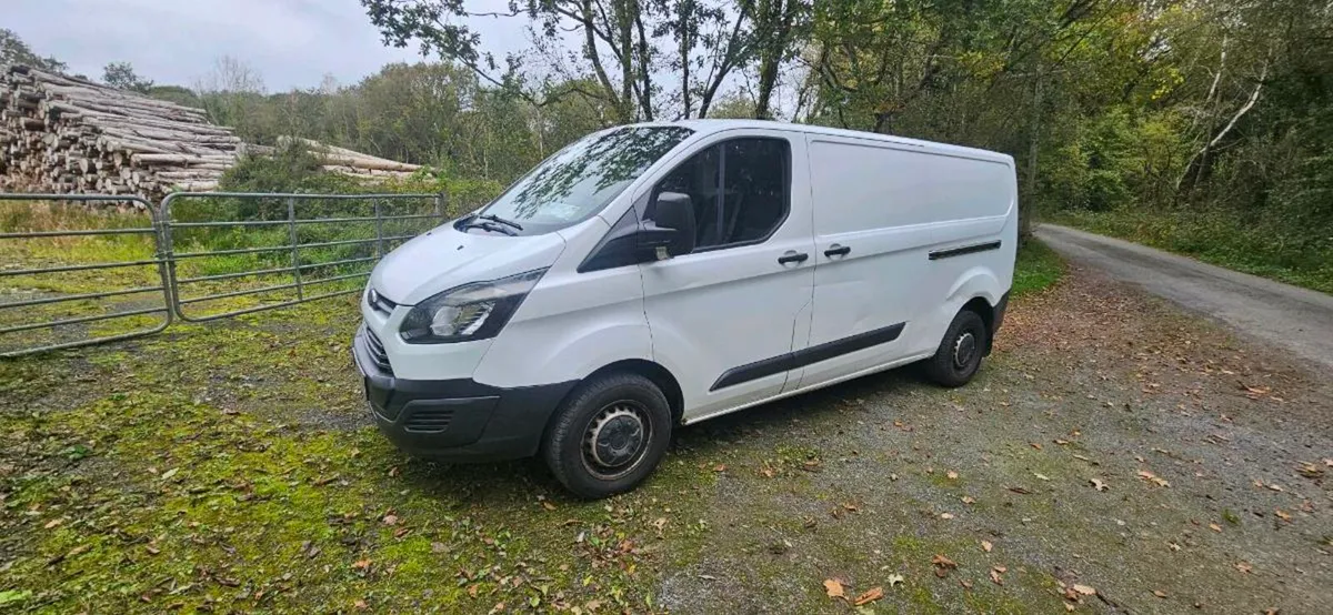 Ford Transit - Image 1