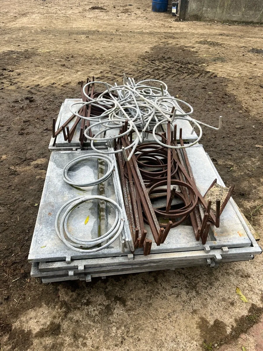 Calf pens - Image 1