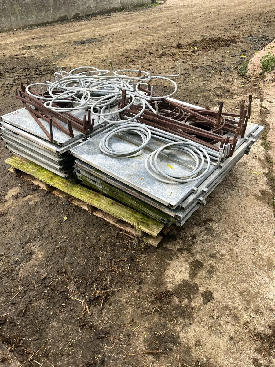 Calf pens - Image 2