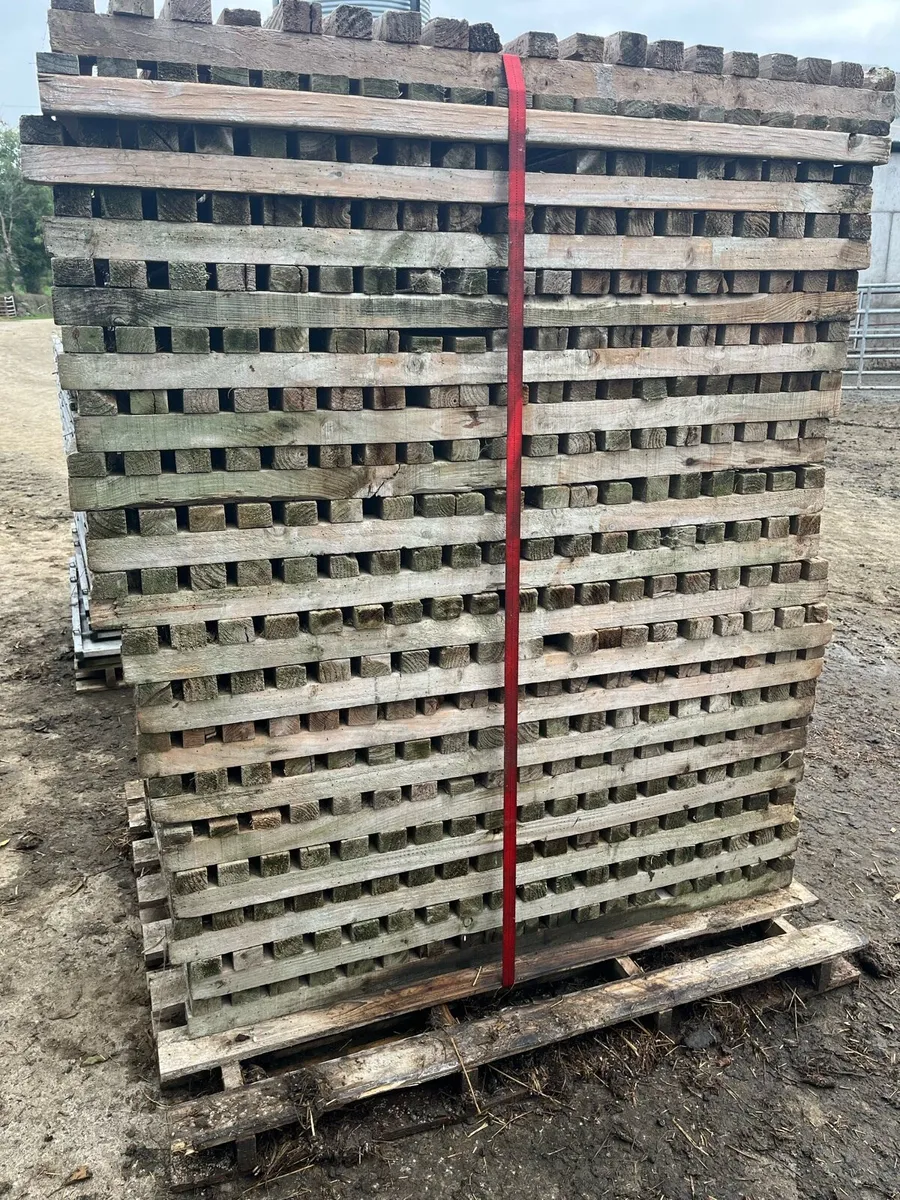 Calf pens - Image 3