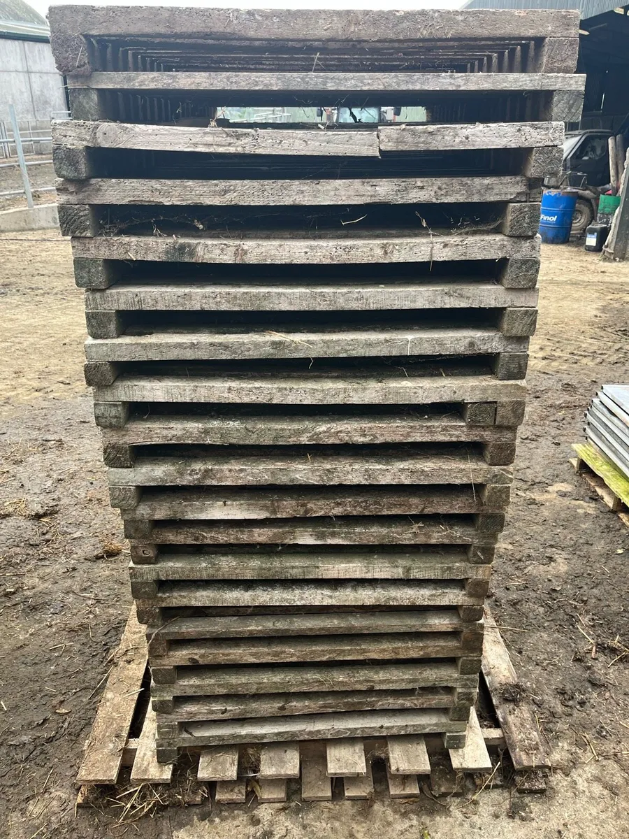 Calf pens - Image 4