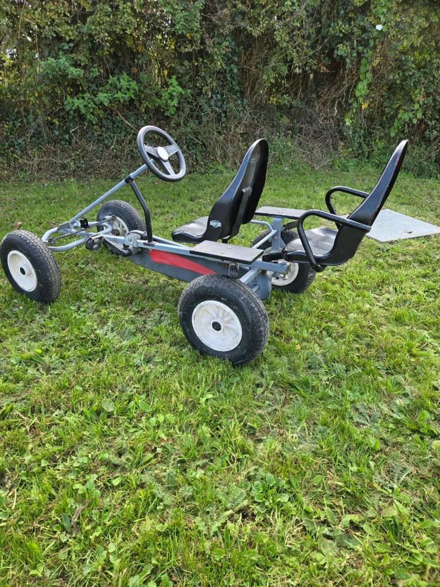 Berg go cart - Image 1