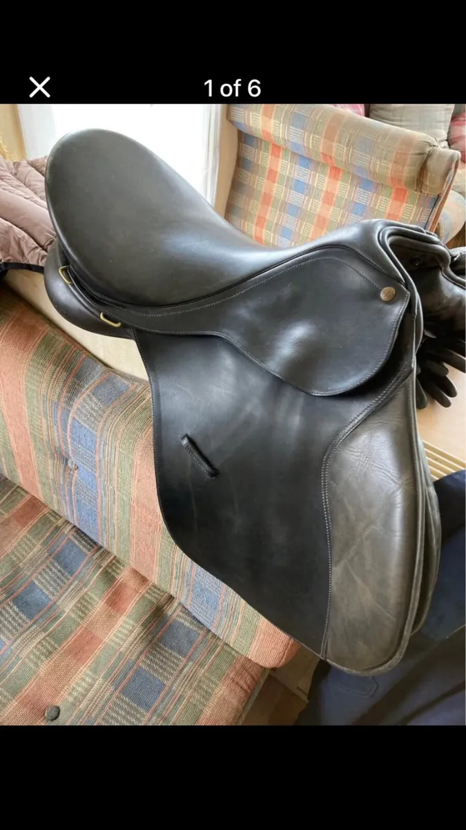 Bates caprilli saddle - Image 1