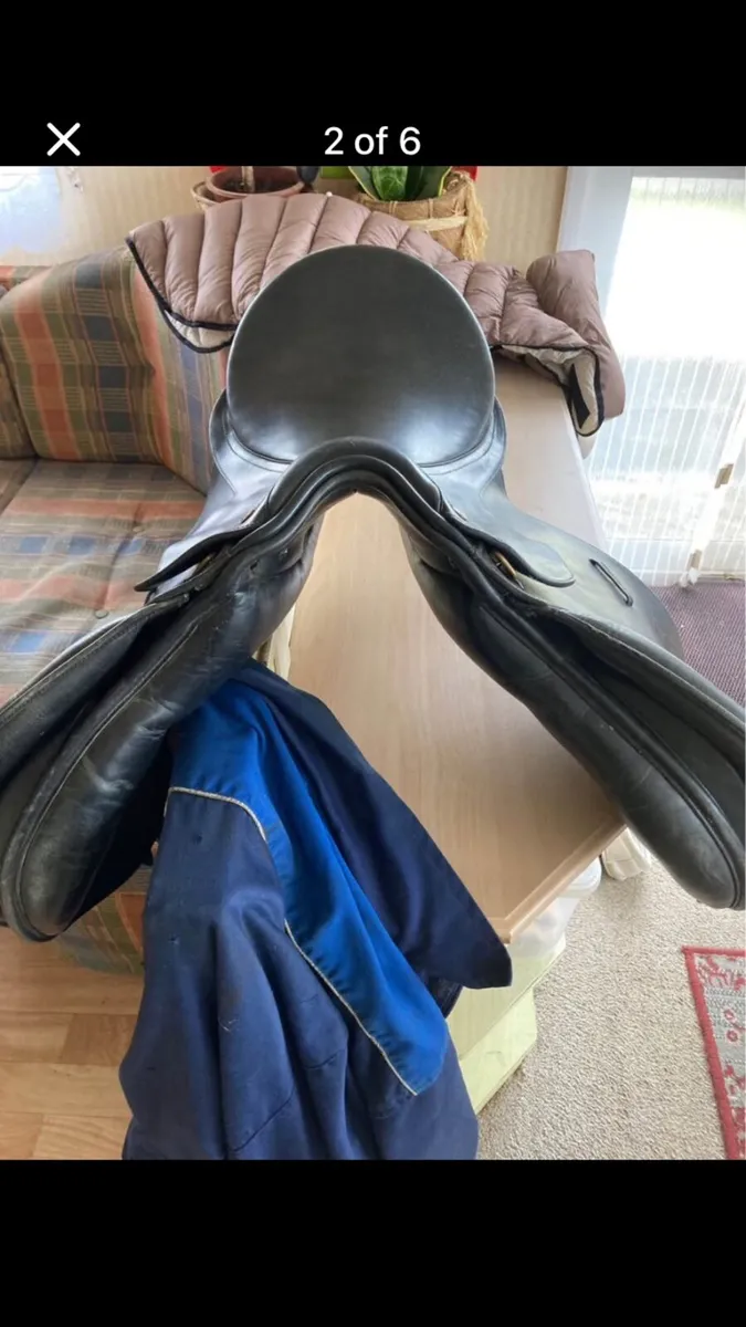 Bates caprilli saddle - Image 2